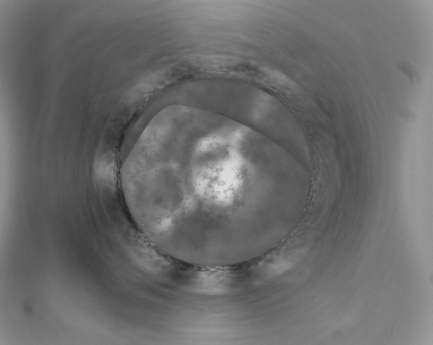 X0000111010720200907311051