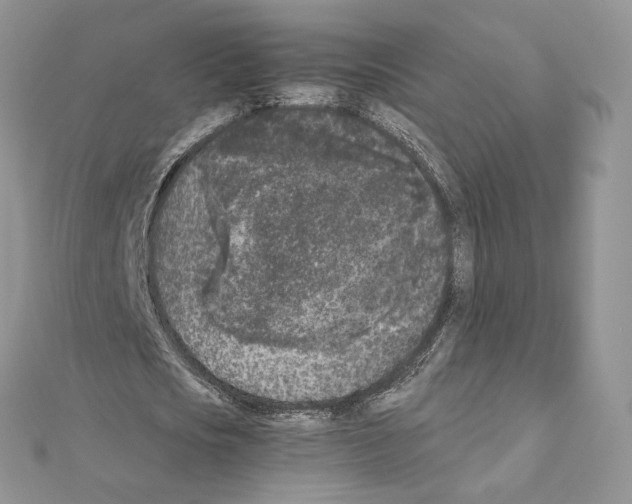 X0000111010721200907311051