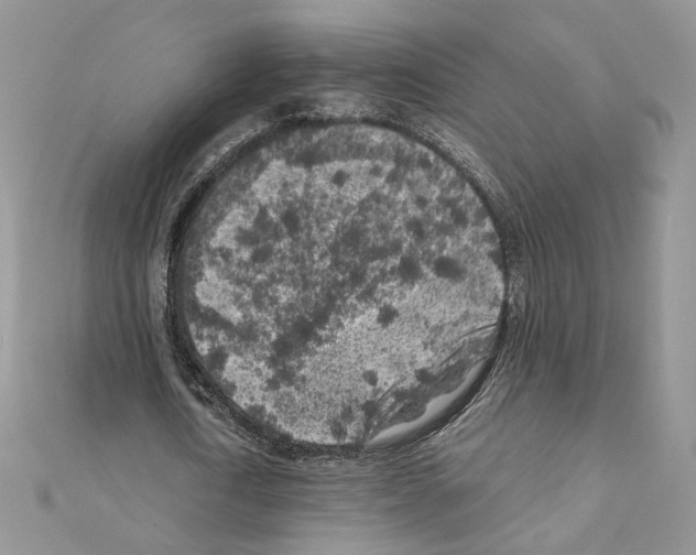 X0000111010722200907311051