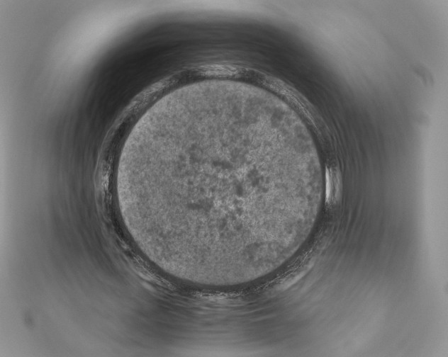 X0000111010723200907311051