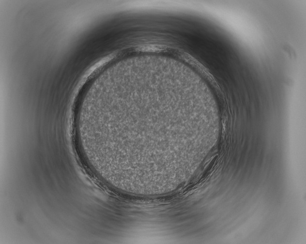 X0000111010724200907311051