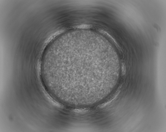 X0000111010725200907311051
