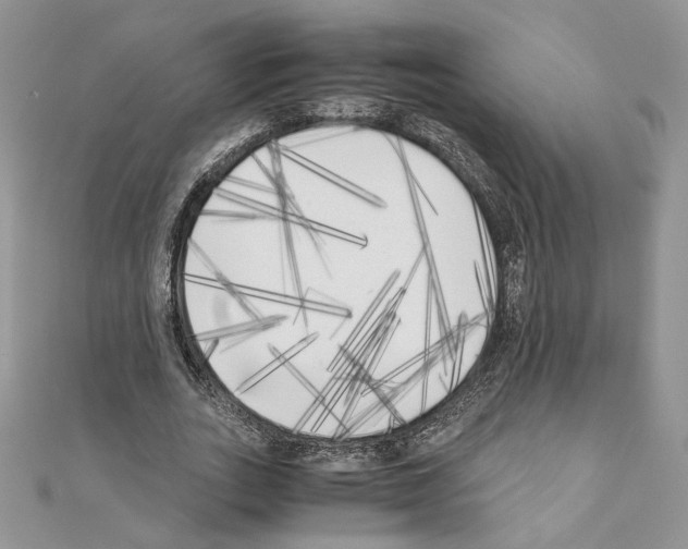 X0000111010727200907311051