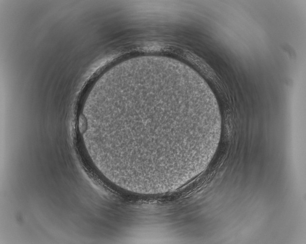 X0000111010728200907311051