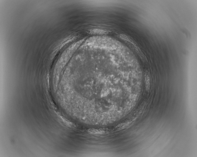 X0000111010729200907311051