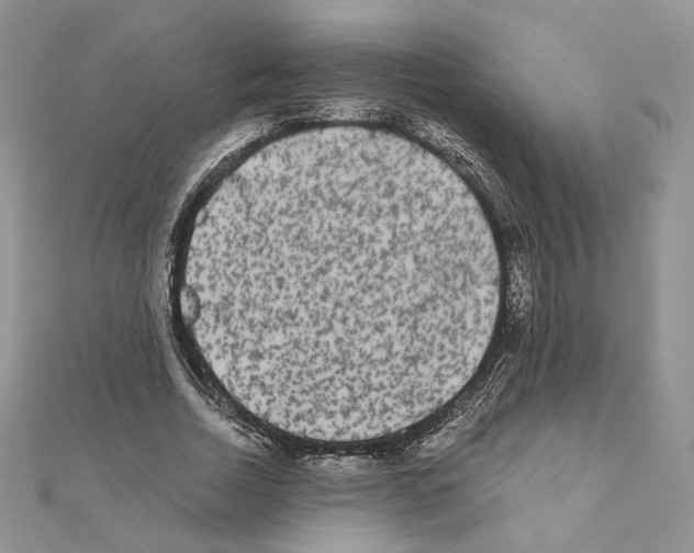 X0000111010730200907311051