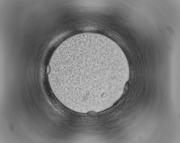 X0000111010732200907311051
