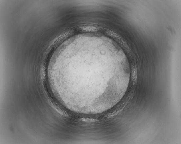 X0000111010733200907311051
