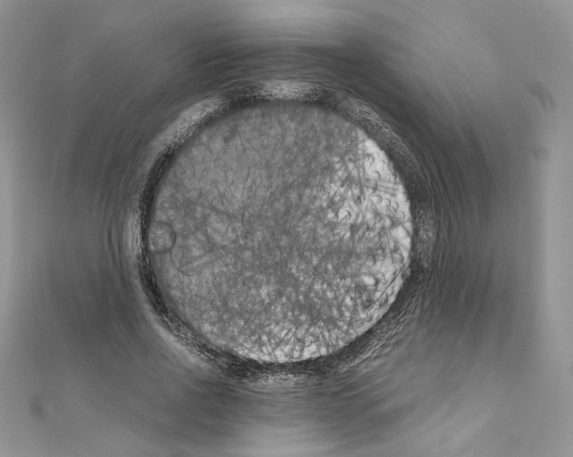 X0000111010734200907311051