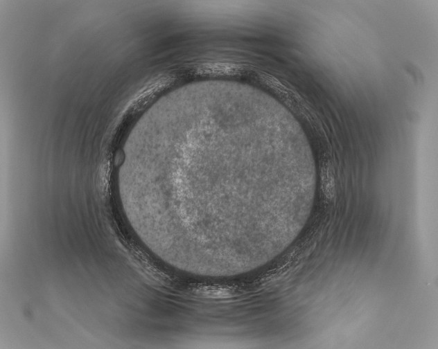 X0000111010735200907311051