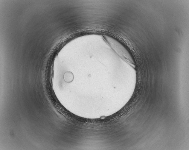 X0000111010736200907311051