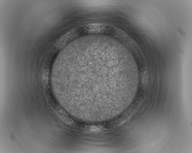 X0000111010737200907311051