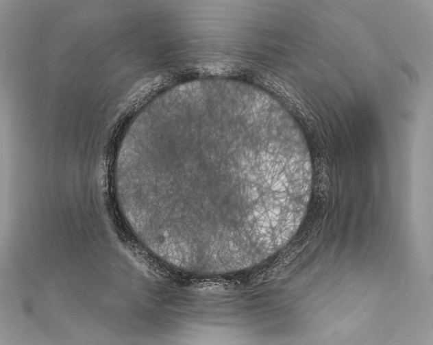 X0000111010738200907311051