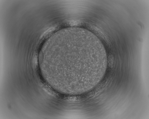 X0000111010740200907311051