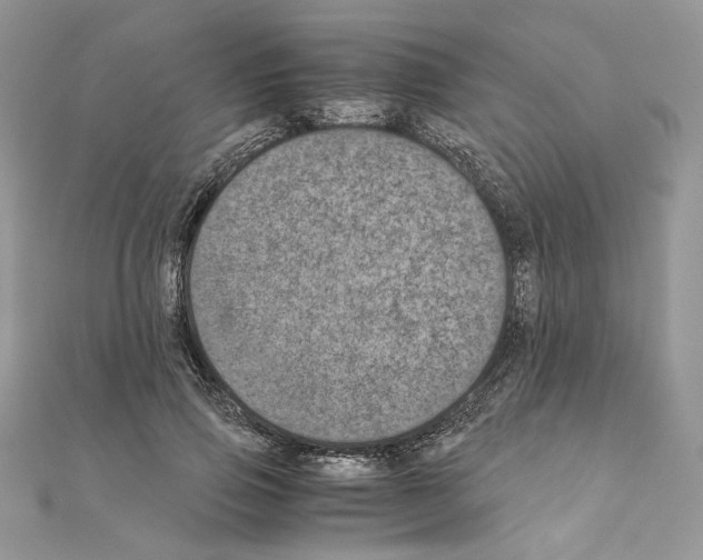 X0000111010741200907311051