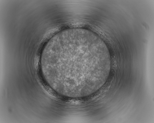 X0000111010742200907311051