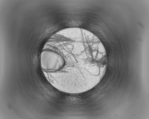 X0000111010743200907311051
