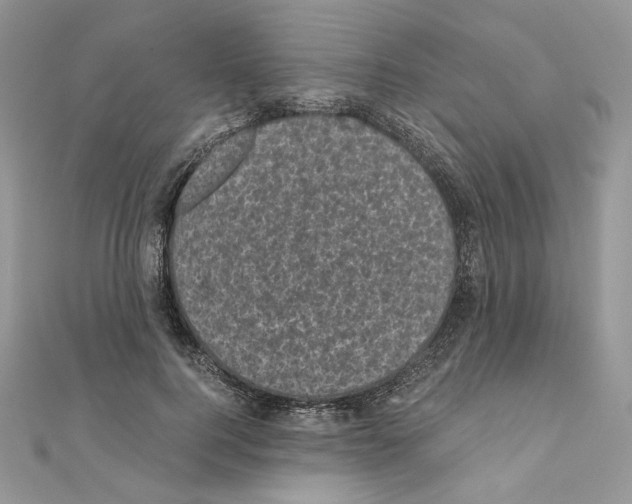 X0000111010744200907311051