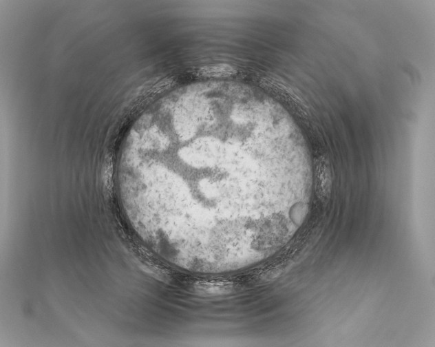 X0000111010745200907311051