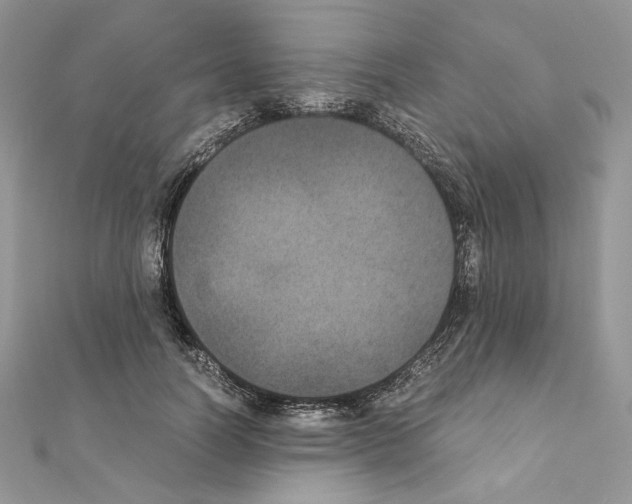 X0000111010746200907311051