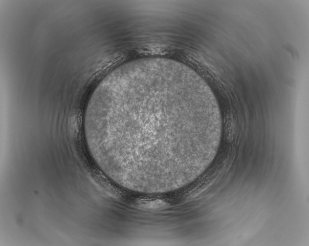 X0000111010747200907311051