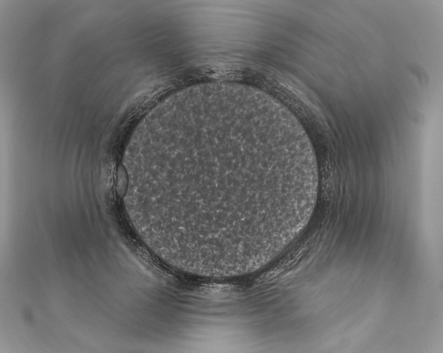 X0000111010748200907311051