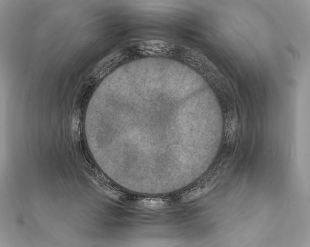X0000111010749200907311051