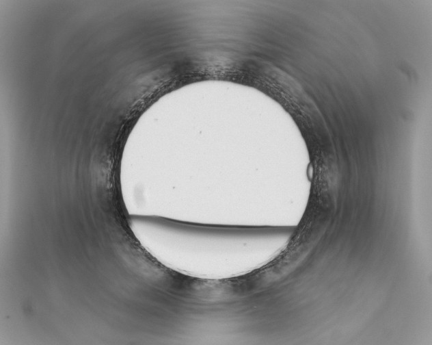 X0000111010750200907311051