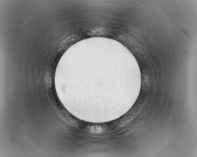 X0000111010751200907311051