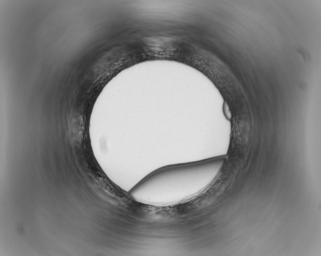 X0000111010752200907311051