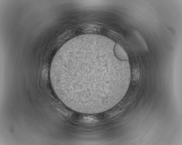 X0000111010753200907311051