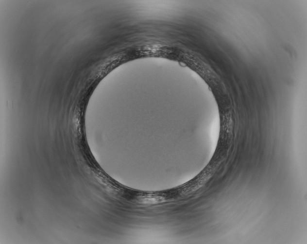 X0000111010754200907311051