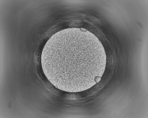 X0000111010755200907311051