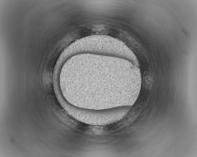 X0000111010756200907311051