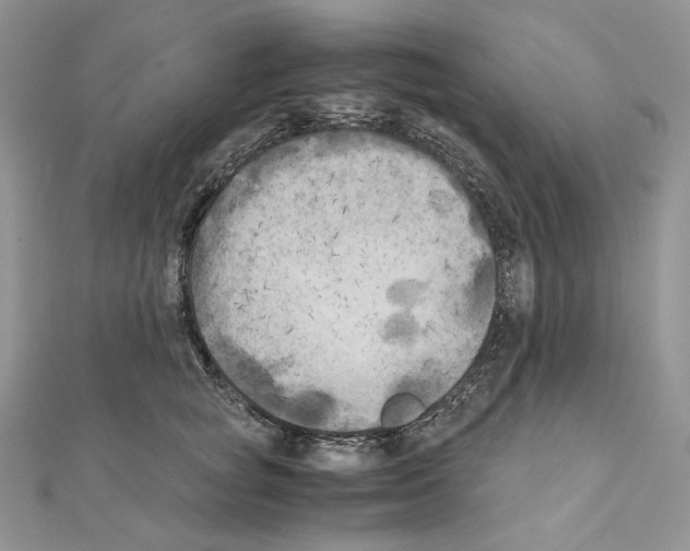 X0000111010757200907311051