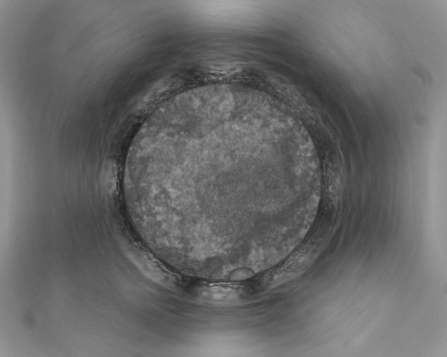 X0000111010758200907311051