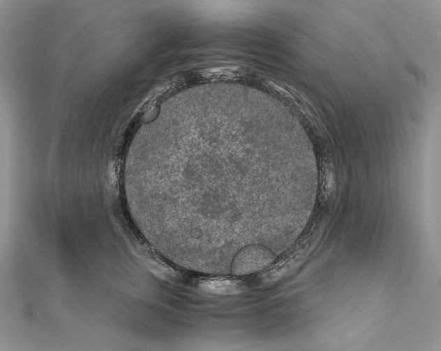 X0000111010759200907311051