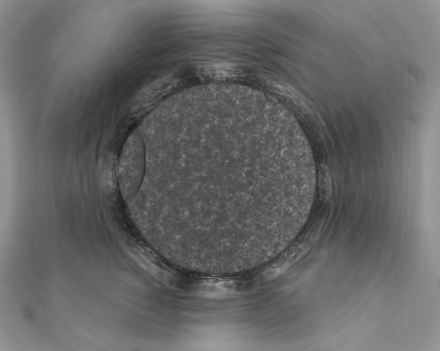 X0000111010760200907311051
