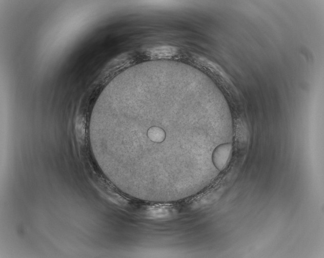 X0000111010761200907311051
