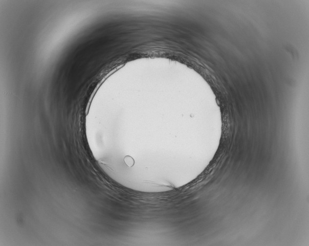 X0000111010762200907311051