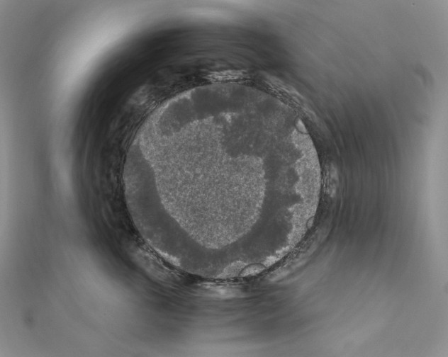 X0000111010763200907311051