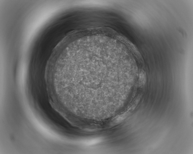 X0000111010765200907311051