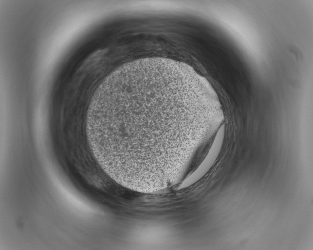 X0000111010766200907311051