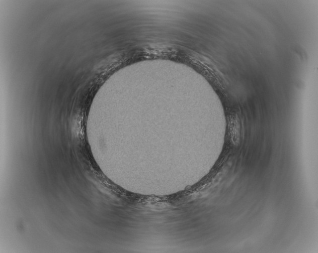 X0000111010770200907311051