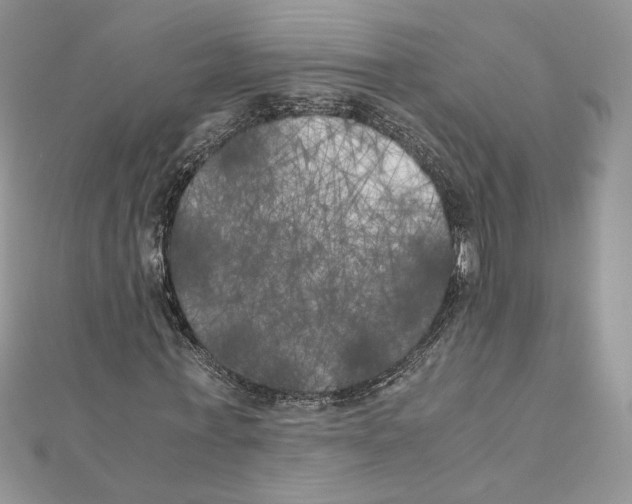 X0000111010771200907311051