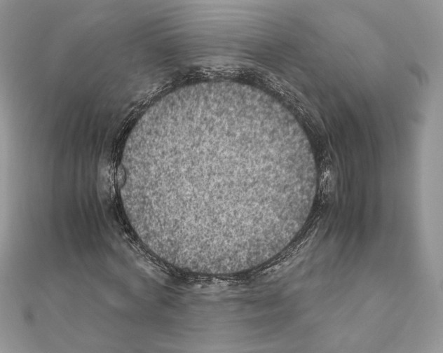 X0000111010772200907311051