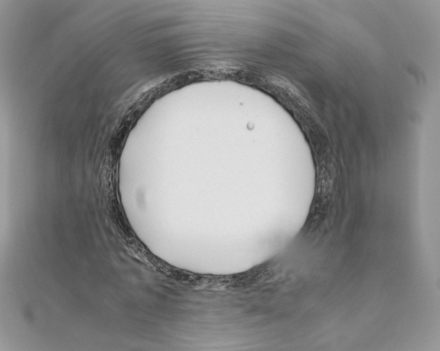X0000111010773200907311051