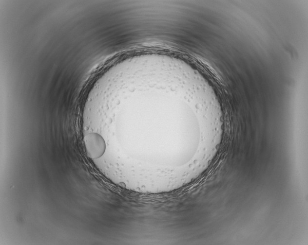 X0000111010776200907311050