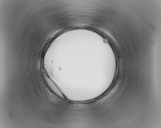 X0000111010777200907311050