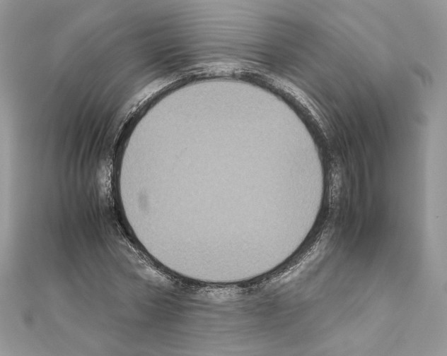 X0000111010778200907311050